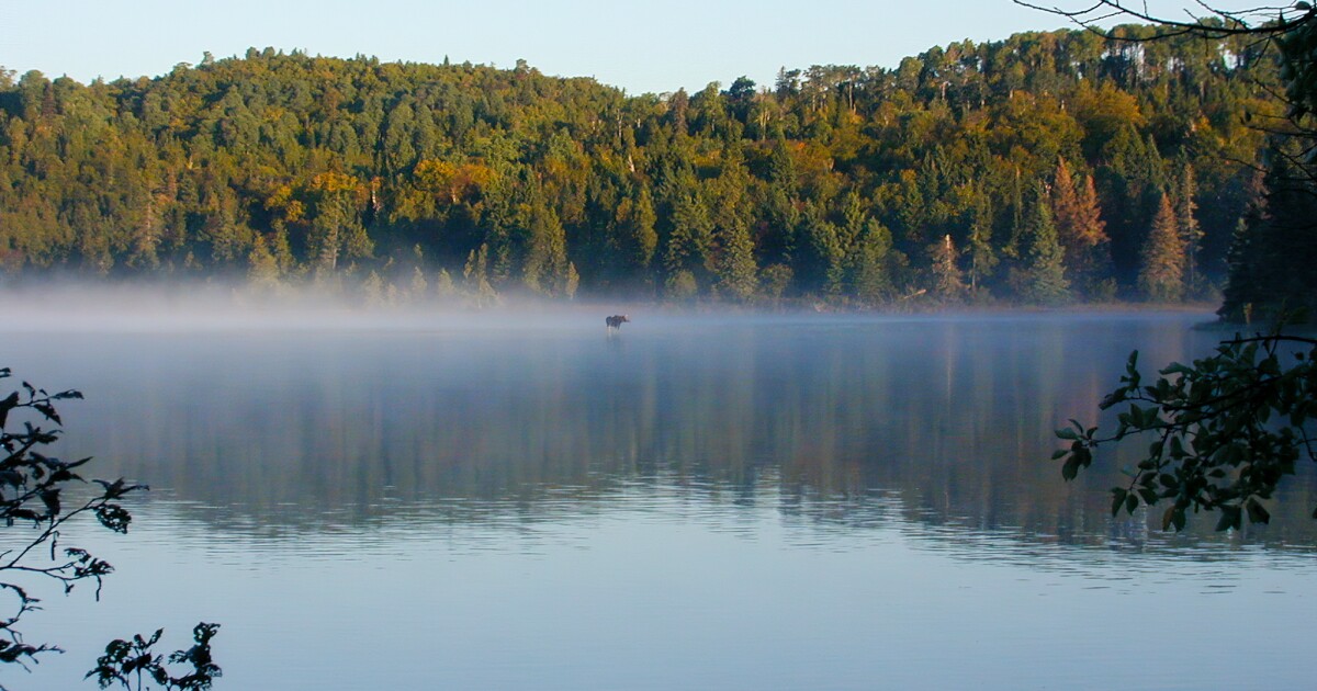 EGLE announces grants to improve water quality by reducing nonpoint source pollutants – Michigan Public
